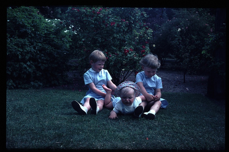 02.Driebergen jun 1966 Brigitte,Marion,Peter.JPG
